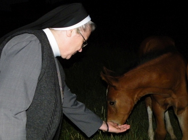 ScholaInNatura Fotogaleria