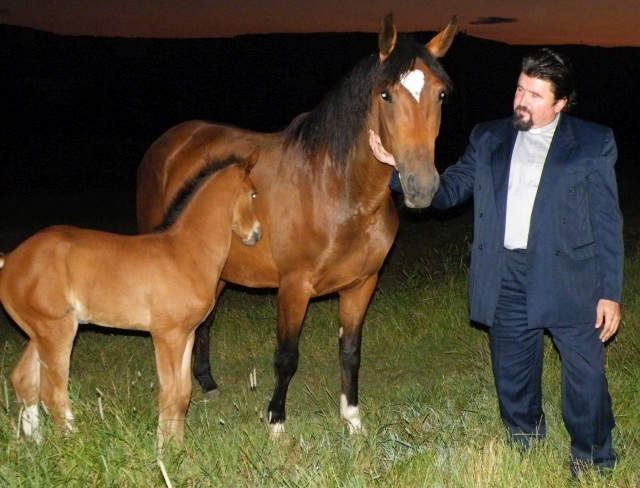 ScholaInNatura Fotogaleria