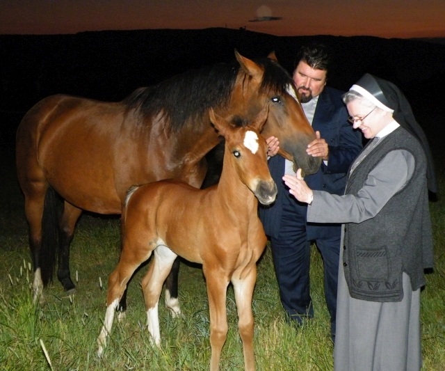 ScholaInNatura Fotogaleria