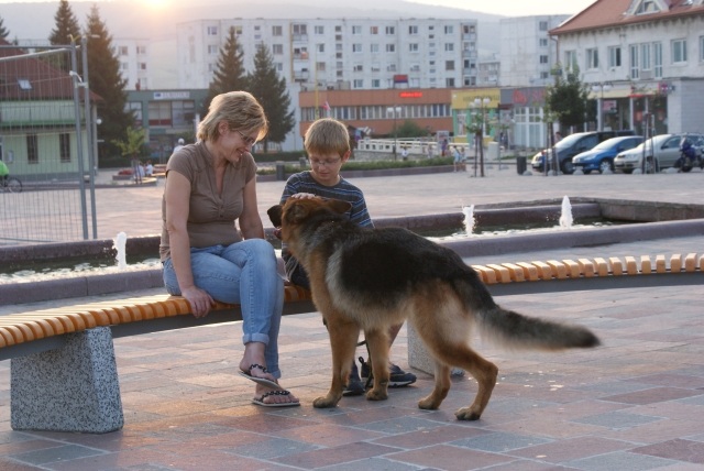 ScholaInNatura Fotogaleria