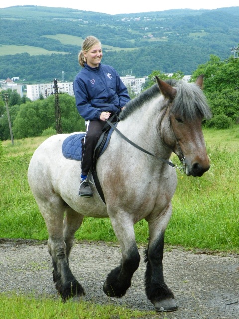 ScholaInNatura Fotogaleria