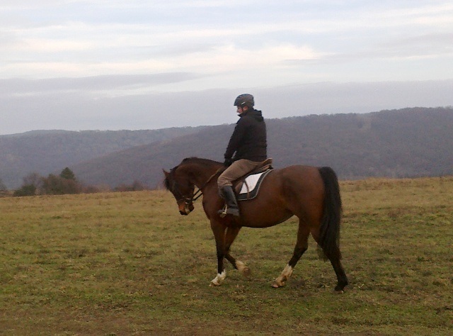 ScholaInNatura Fotogaleria