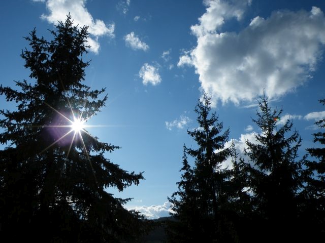 ScholaInNatura Fotogaleria