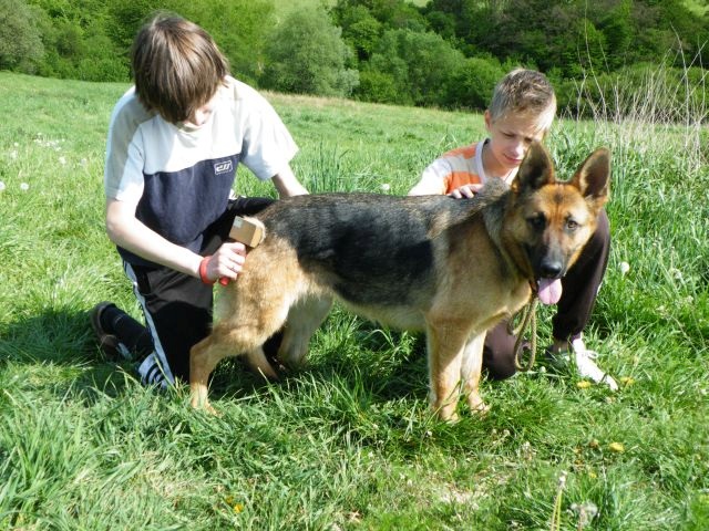 ScholaInNatura Fotogaleria
