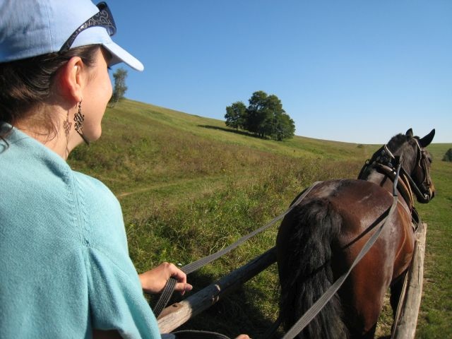 ScholaInNatura Fotogaleria