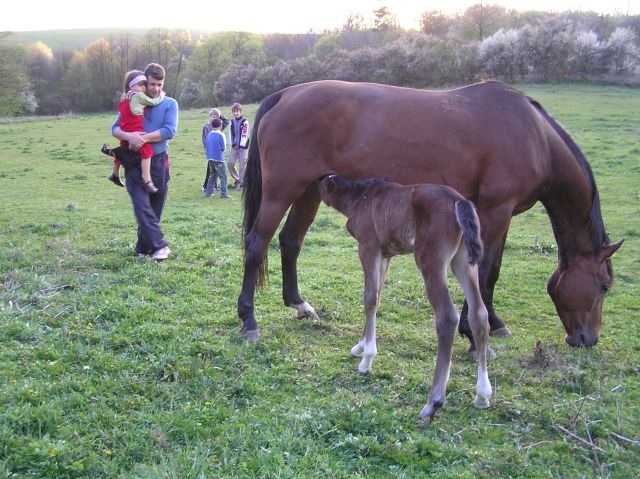 ScholaInNatura Fotogaleria
