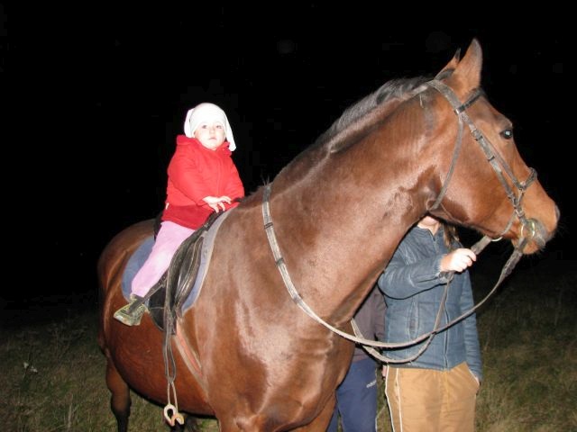 ScholaInNatura Fotogaleria