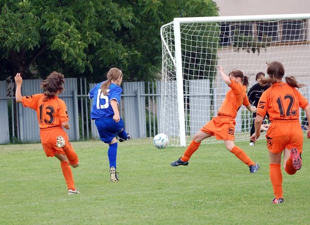 ScholaInNatura Fotogaleria