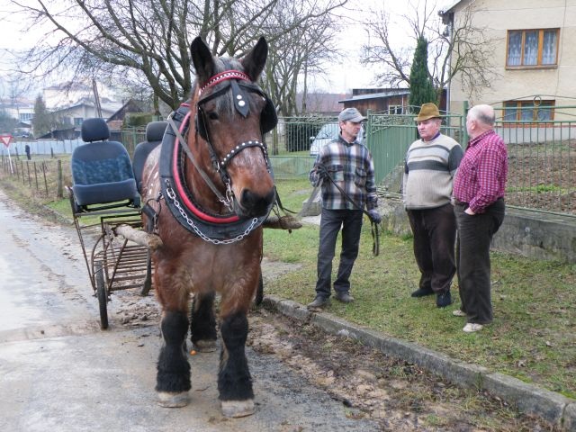 ScholaInNatura Fotogaleria