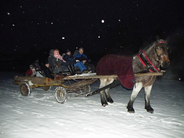 ScholaInNatura Fotogaleria