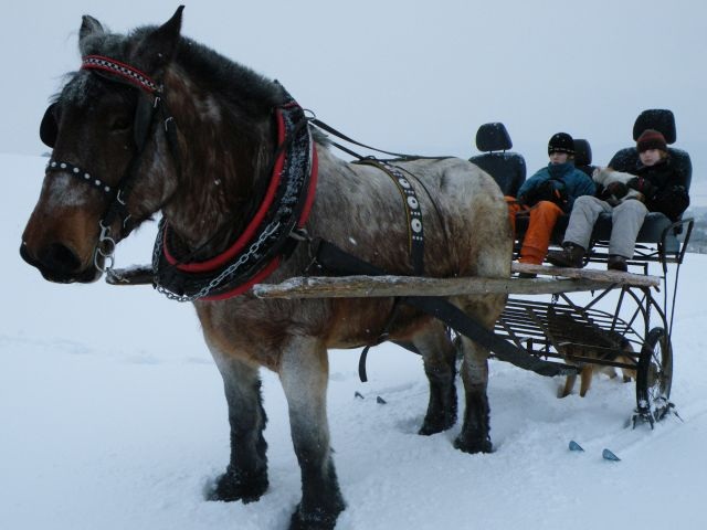 ScholaInNatura Fotogaleria