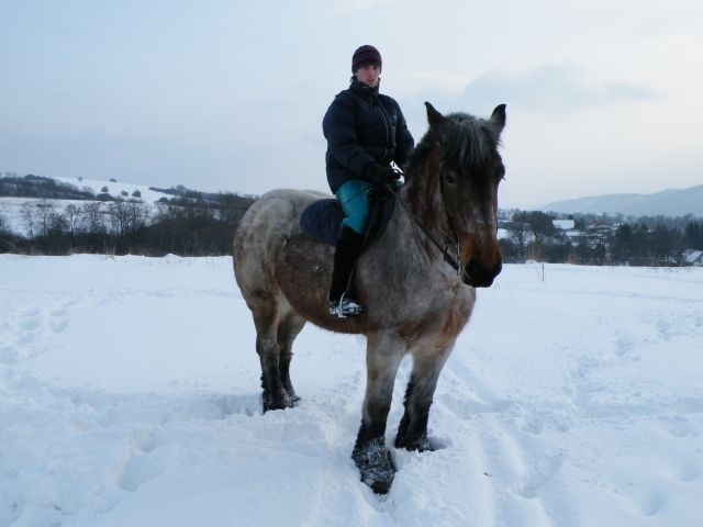 ScholaInNatura Fotogaleria