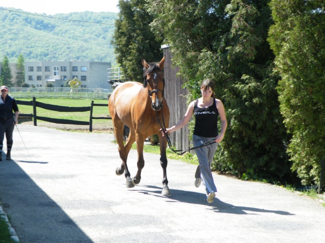 ScholaInNatura Fotogaleria