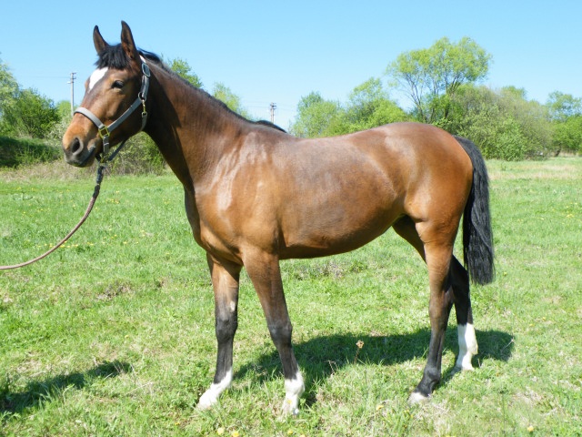 ScholaInNatura Fotogaleria