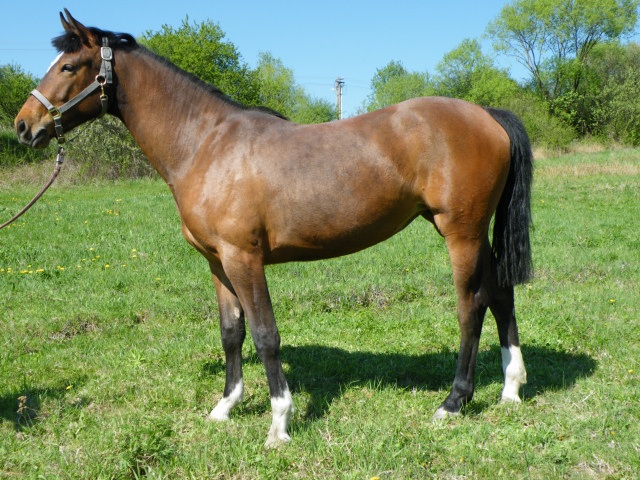 ScholaInNatura Fotogaleria