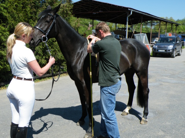ScholaInNatura Fotogaleria