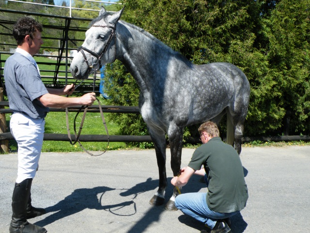 ScholaInNatura Fotogaleria