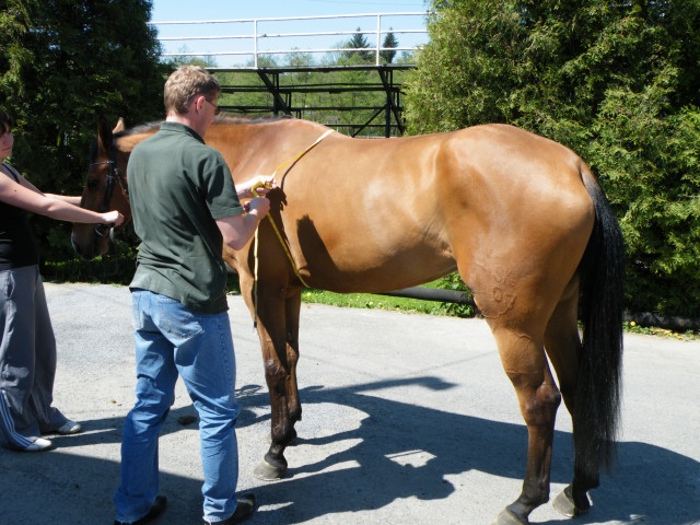 ScholaInNatura Fotogaleria