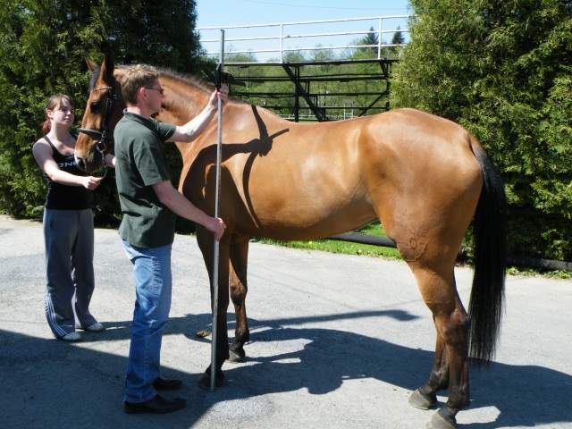 ScholaInNatura Fotogaleria