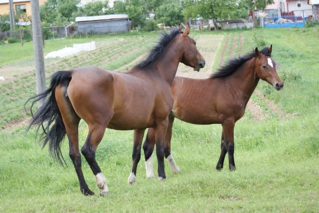 ScholaInNatura Fotogaleria