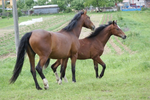 ScholaInNatura Fotogaleria