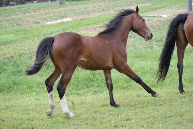 ScholaInNatura Fotogaleria