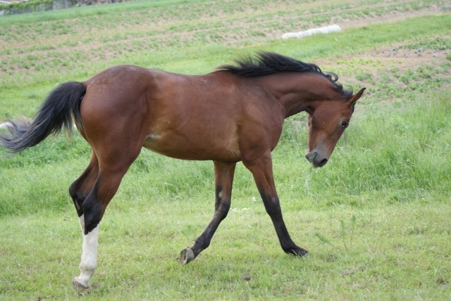 ScholaInNatura Fotogaleria