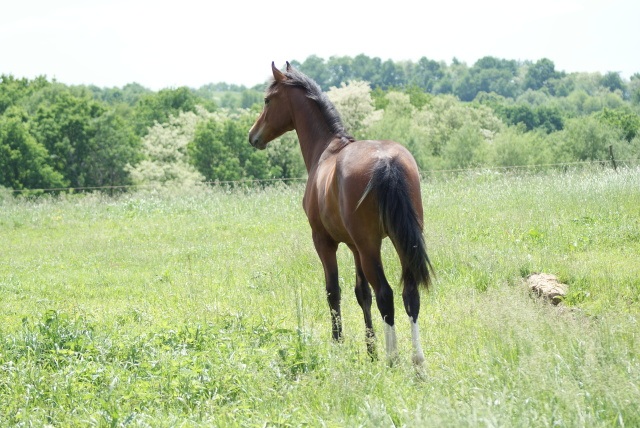 ScholaInNatura Fotogaleria