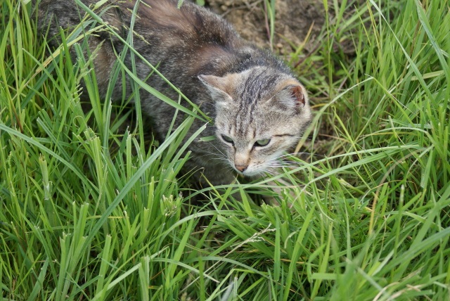 ScholaInNatura Fotogaleria