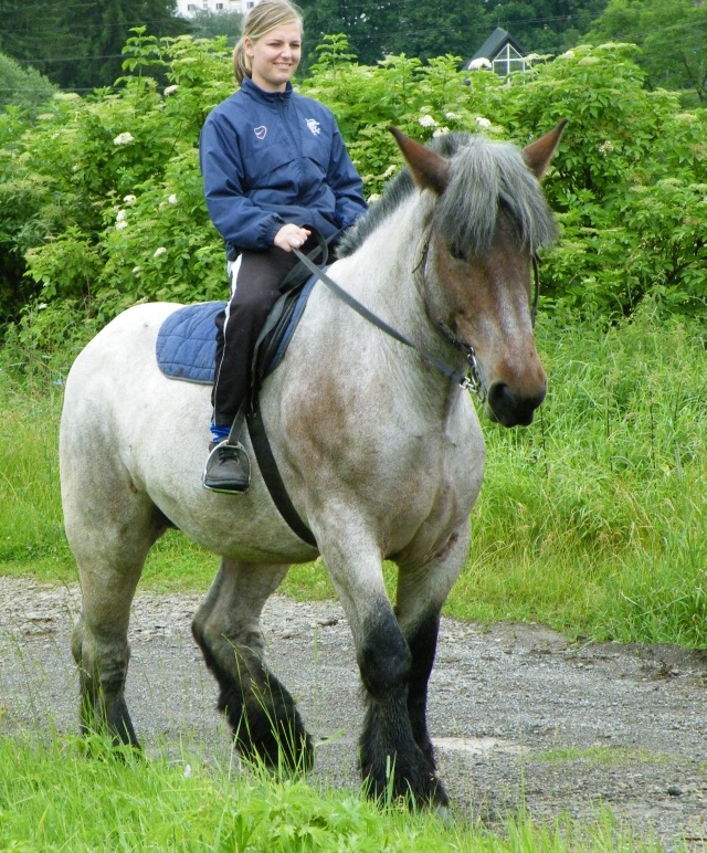 ScholaInNatura Fotogaleria