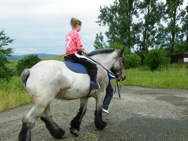 ScholaInNatura Fotogaleria
