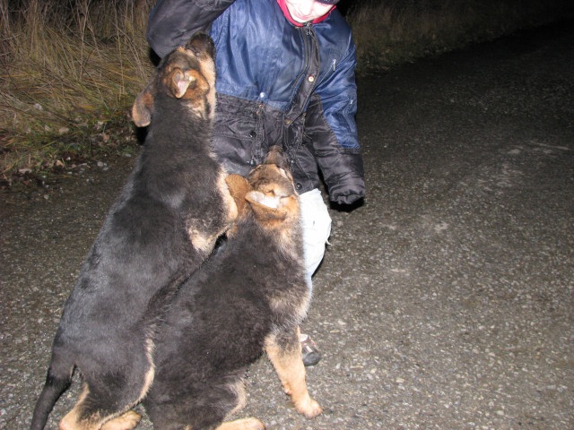 ScholaInNatura Fotogaleria