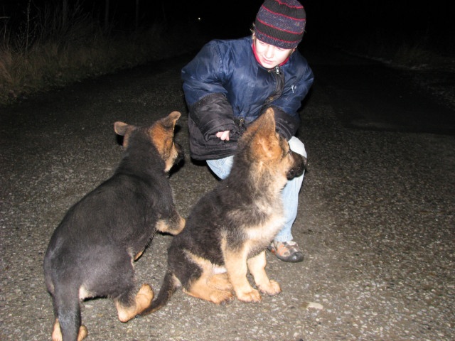 ScholaInNatura Fotogaleria