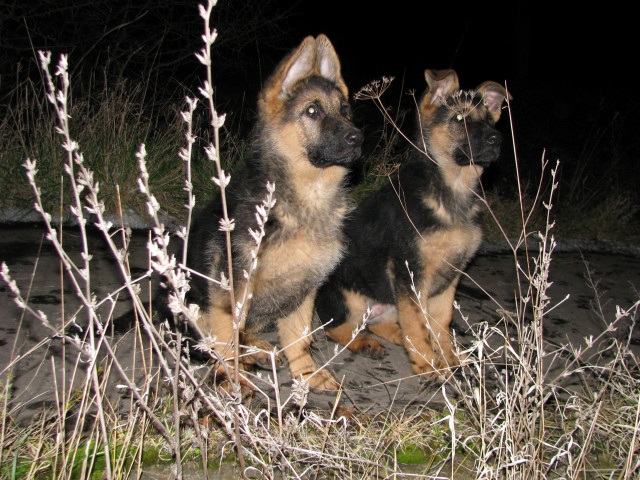 ScholaInNatura Fotogaleria