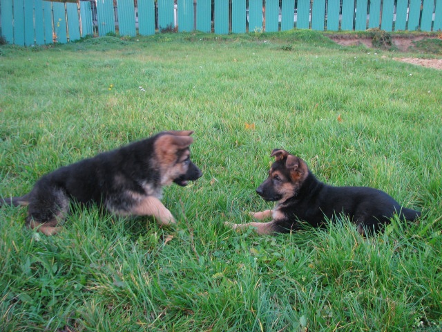 ScholaInNatura Fotogaleria