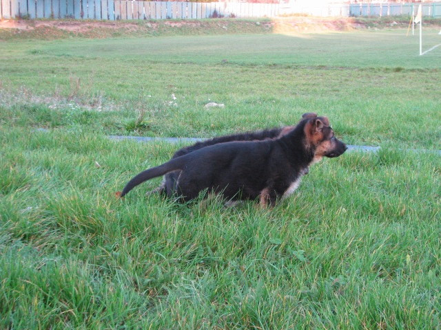 ScholaInNatura Fotogaleria