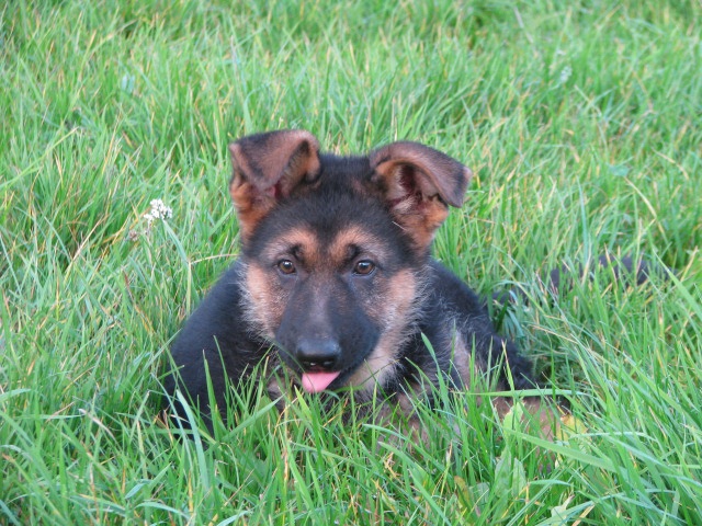 ScholaInNatura Fotogaleria