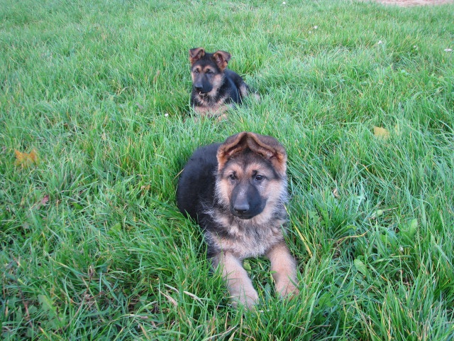 ScholaInNatura Fotogaleria