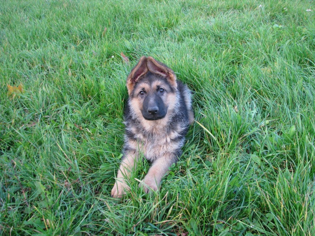 ScholaInNatura Fotogaleria