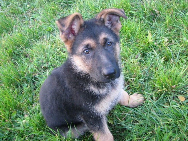 ScholaInNatura Fotogaleria