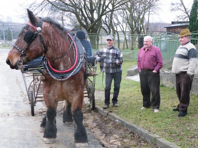 ScholaInNatura Fotogaleria