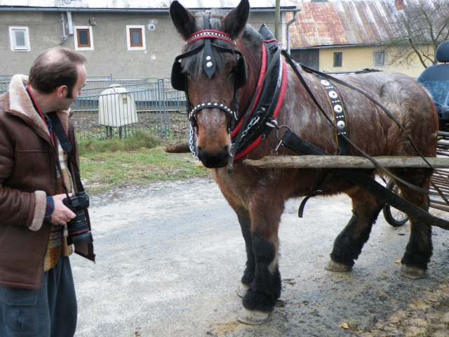 ScholaInNatura Fotogaleria