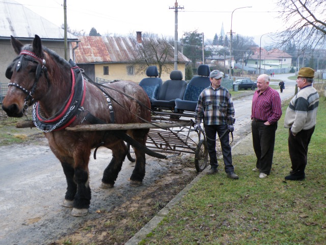 ScholaInNatura Fotogaleria