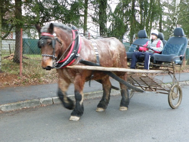 ScholaInNatura Fotogaleria