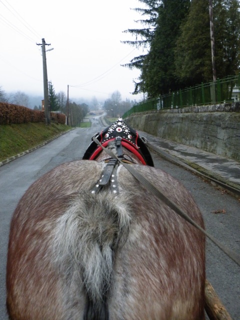 ScholaInNatura Fotogaleria