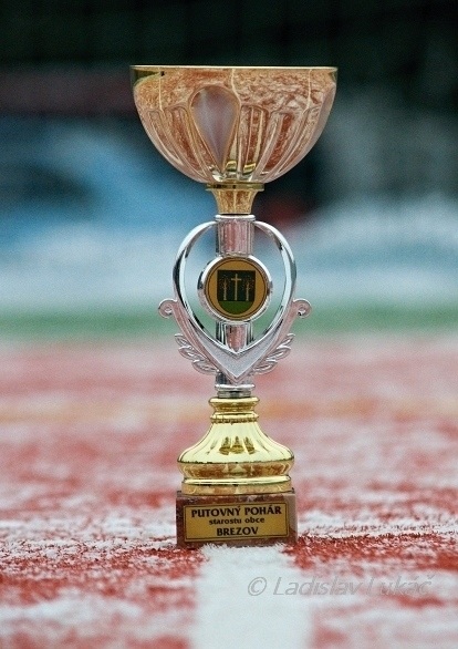 ScholaInNatura Fotogaleria