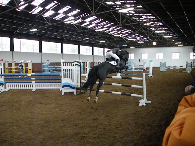 ScholaInNatura Fotogaleria