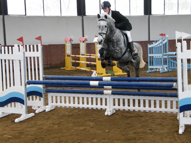 ScholaInNatura Fotogaleria