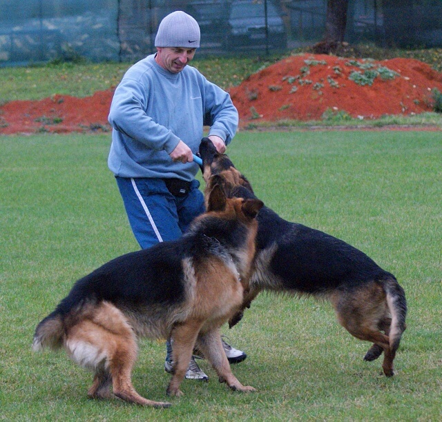 ScholaInNatura Fotogaleria