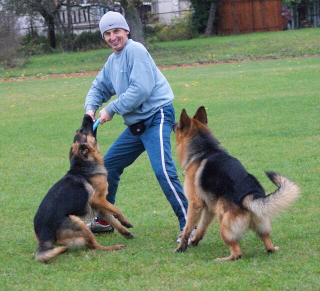 ScholaInNatura Fotogaleria